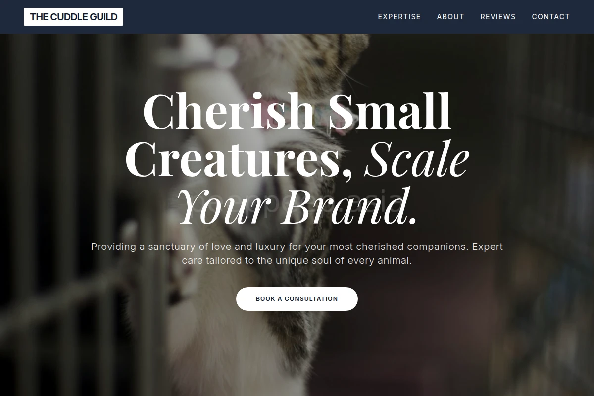 Fluffy Animal Care