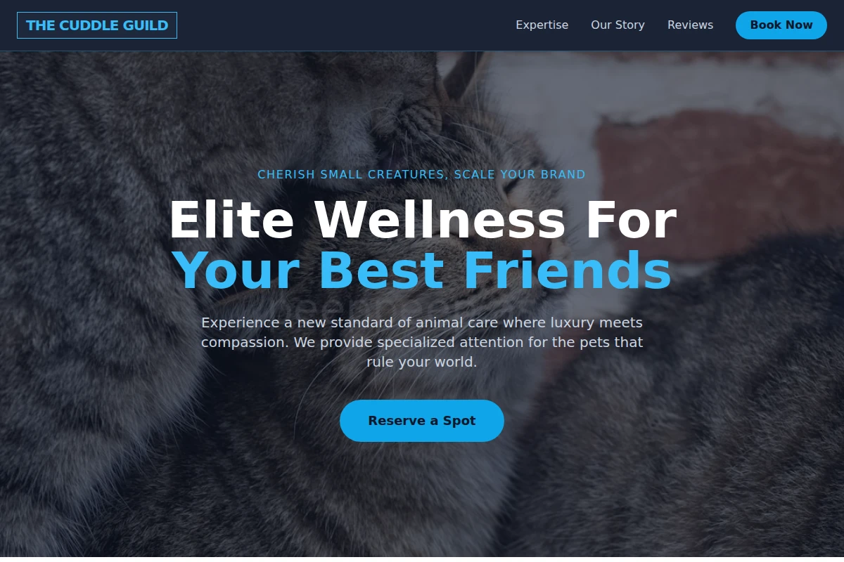 Chew Animal Care