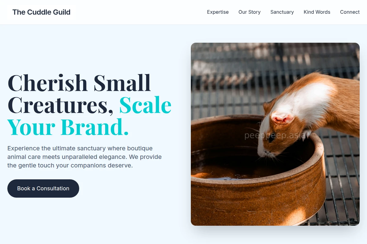 Meadow Animal Care