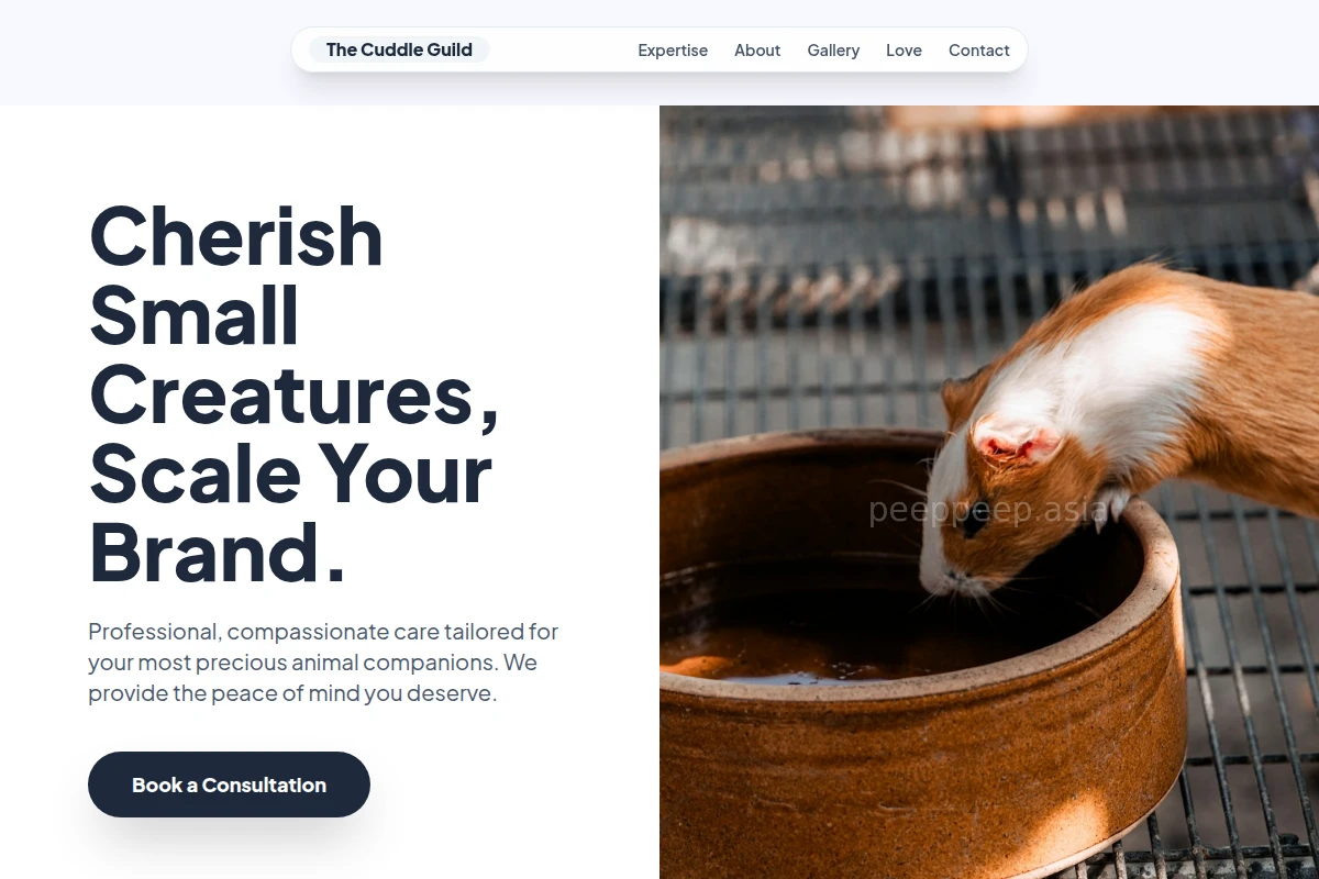 Fluffy Animal Care