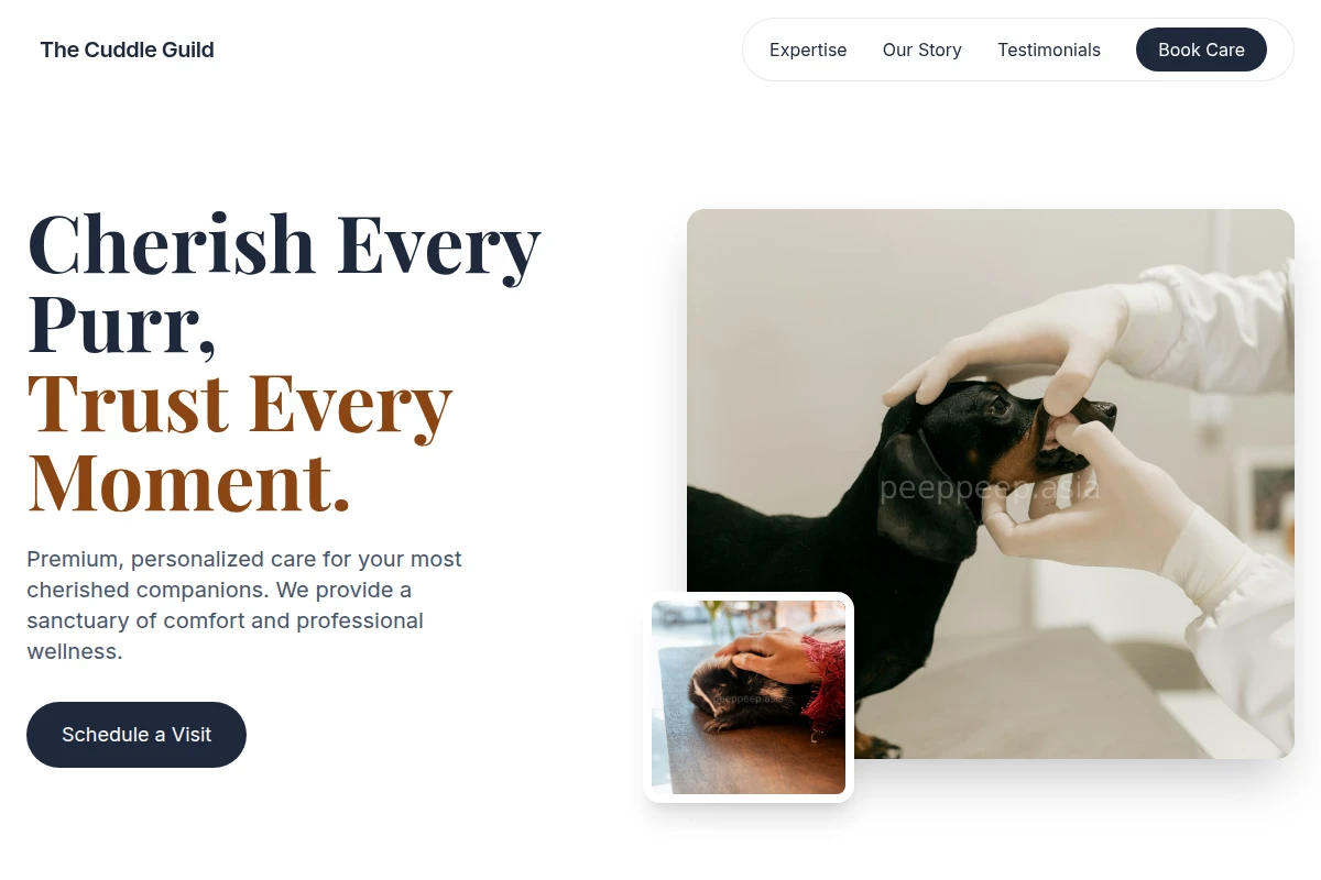 Meow Animal Care