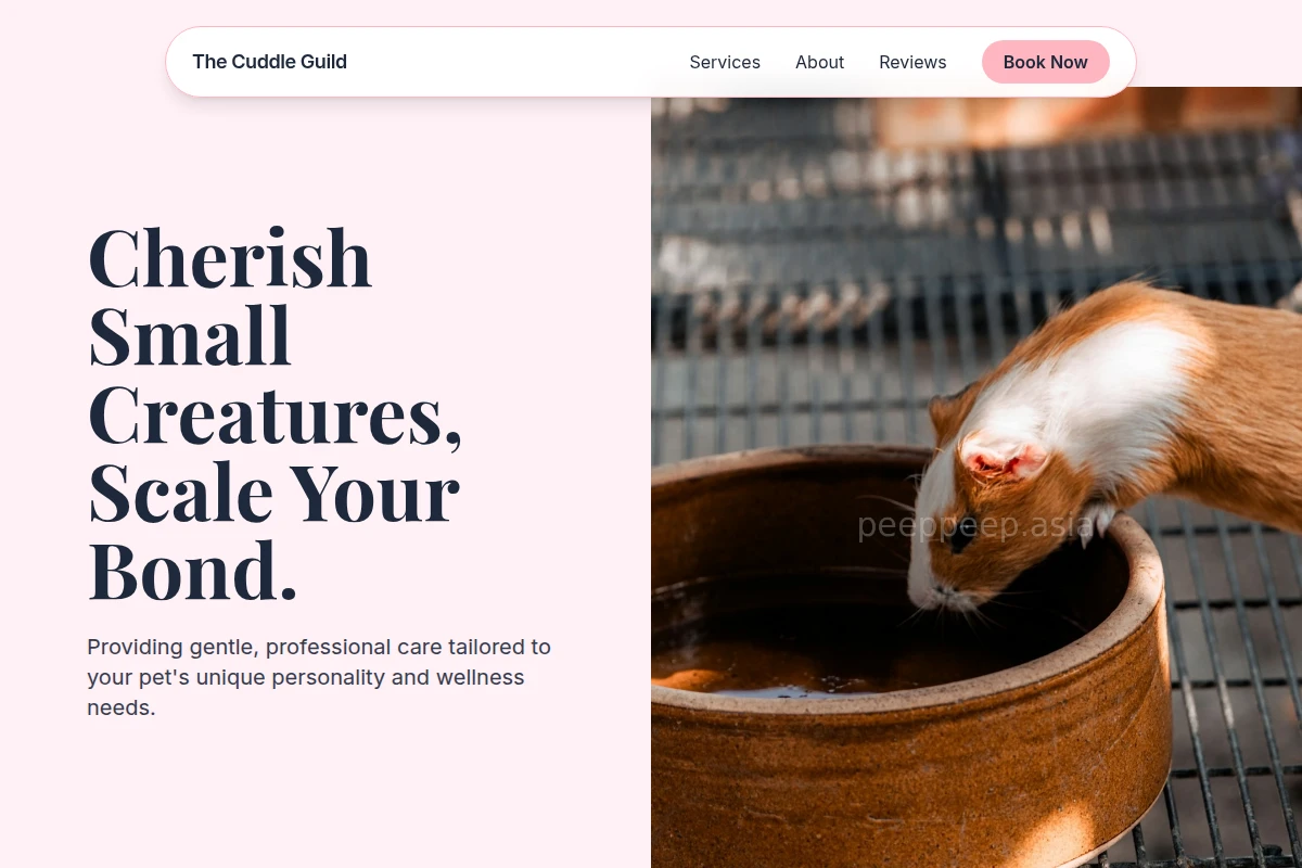 Bone Animal Care