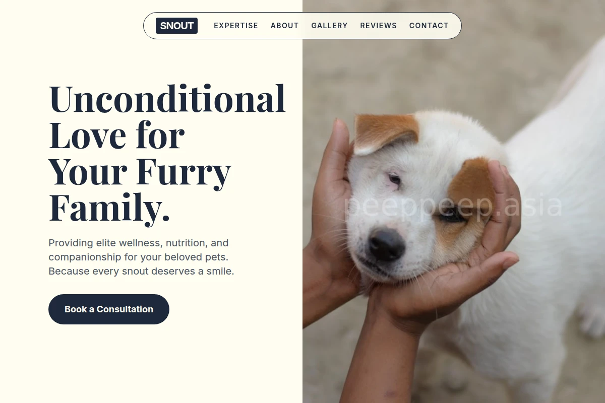 Snout Animal Care