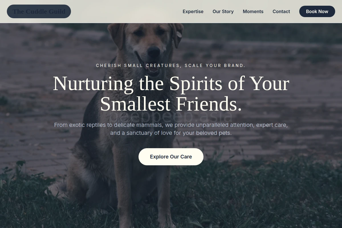 Bow Animal Care