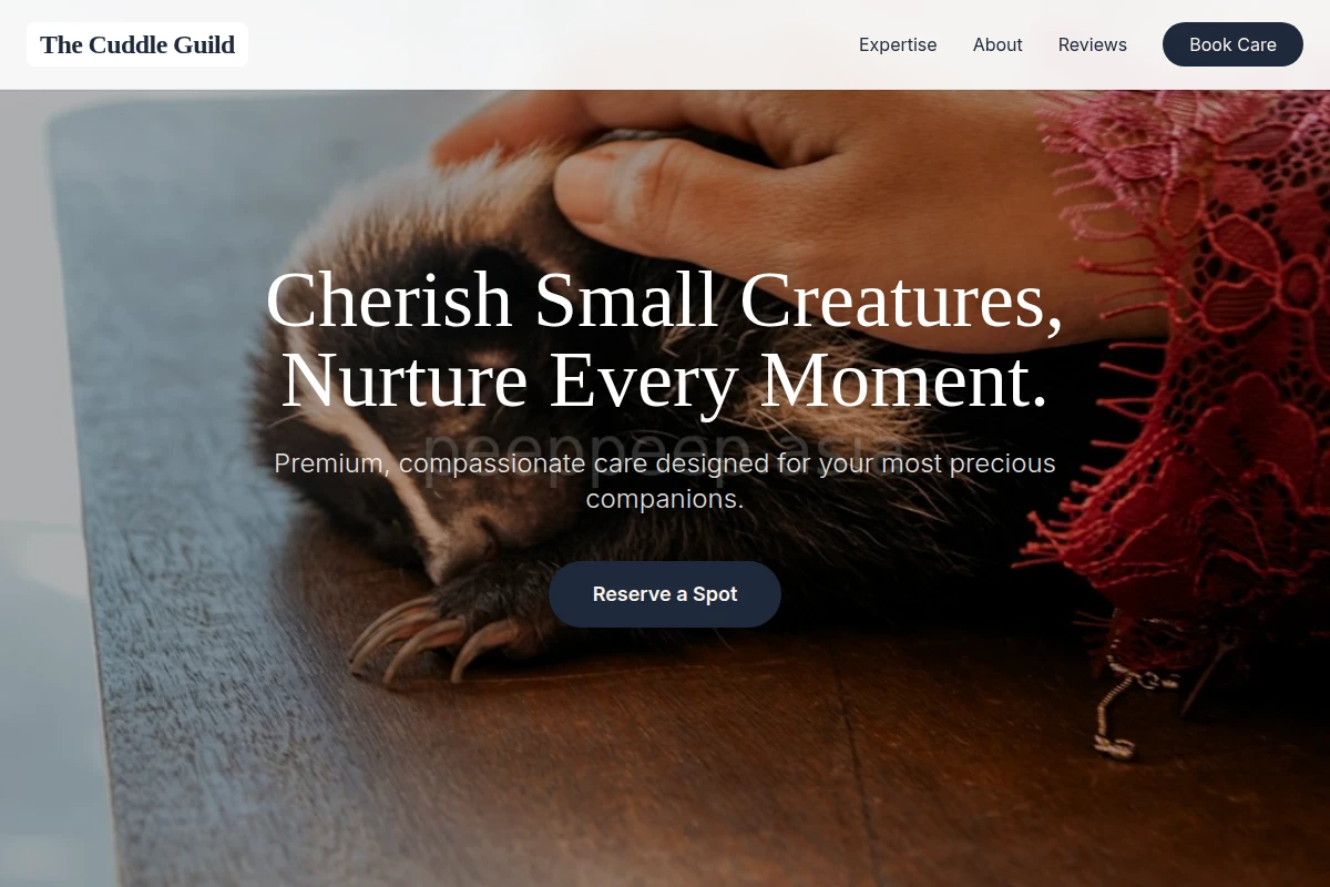 Playtime Animal Care