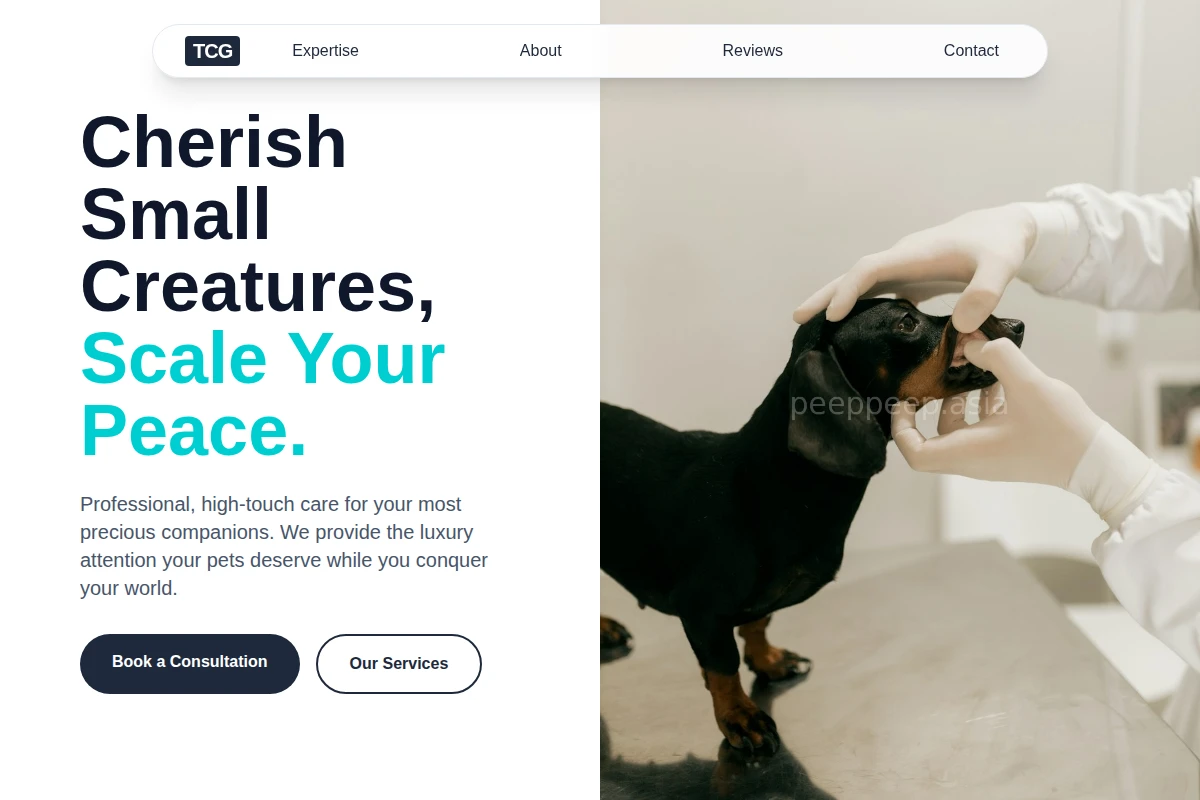 Cozy Animal Care
