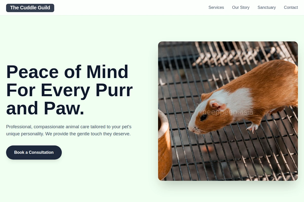Pounce Animal Care