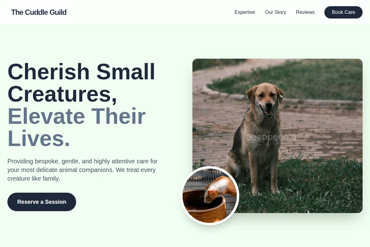 Cuddles Animal Care