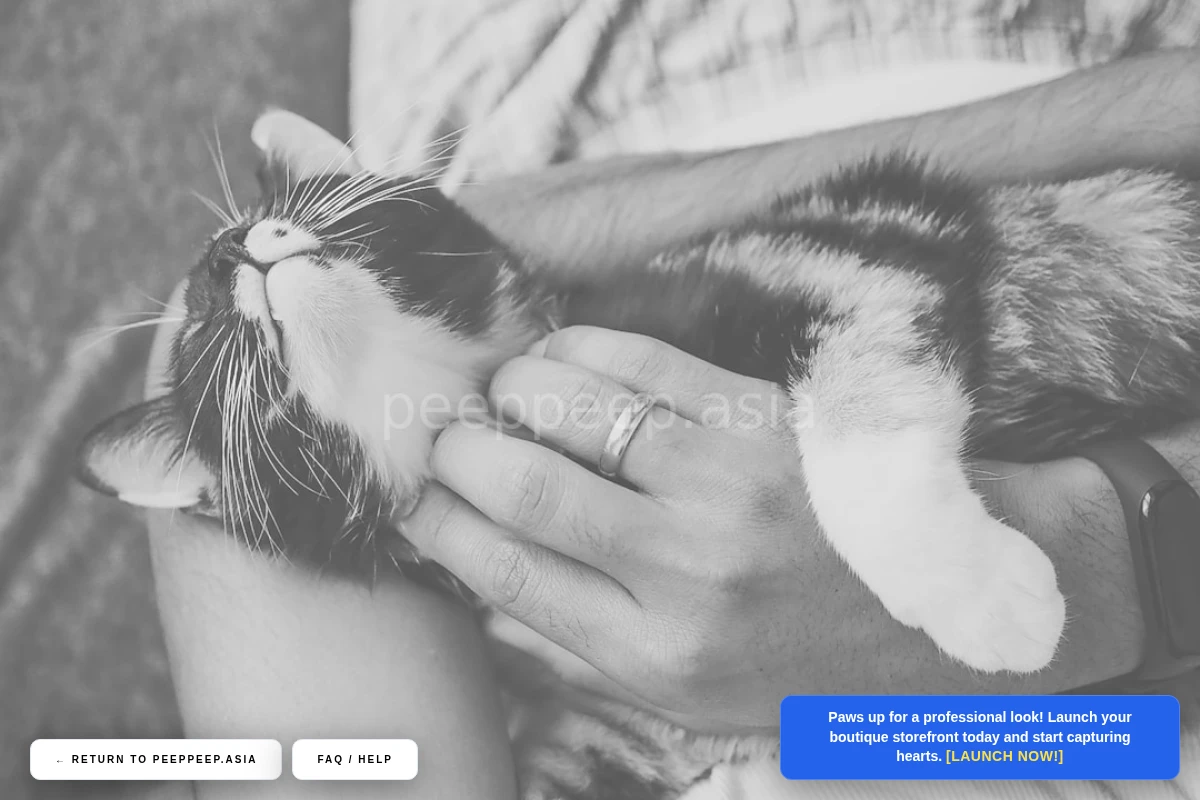 Nest Animal Care
