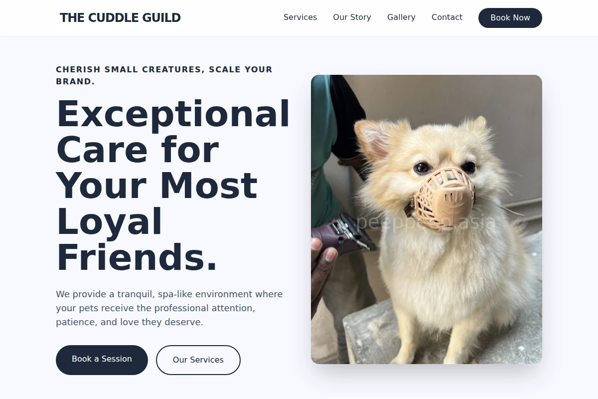 Chew Pet Grooming