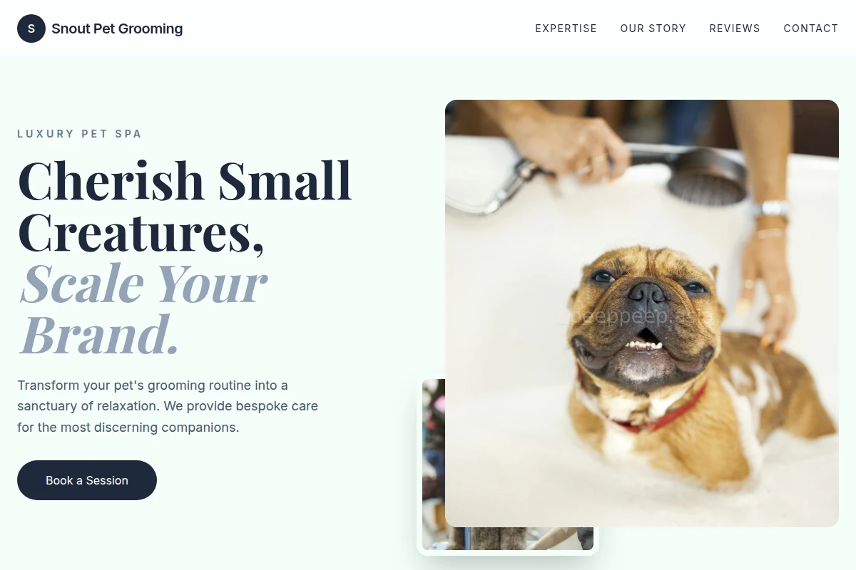 Snout Pet Grooming