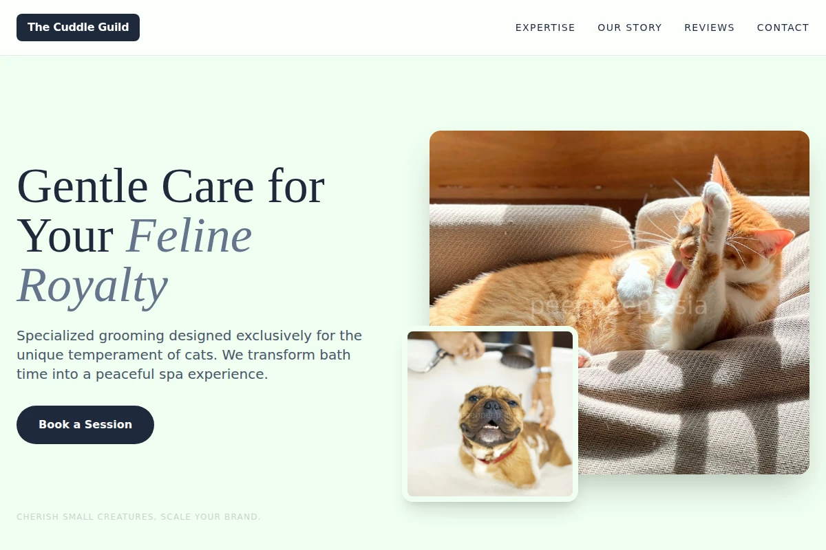 Feline Pet Grooming