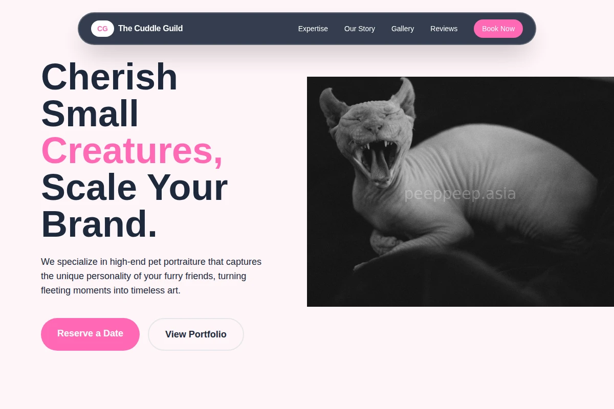 Niche Pet Photography