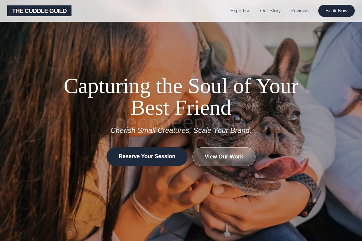 Chew Pet Photography