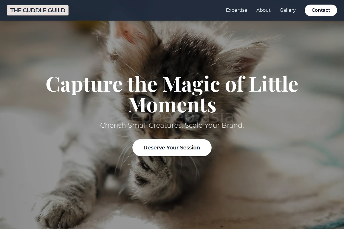 Bunny Pet Photography