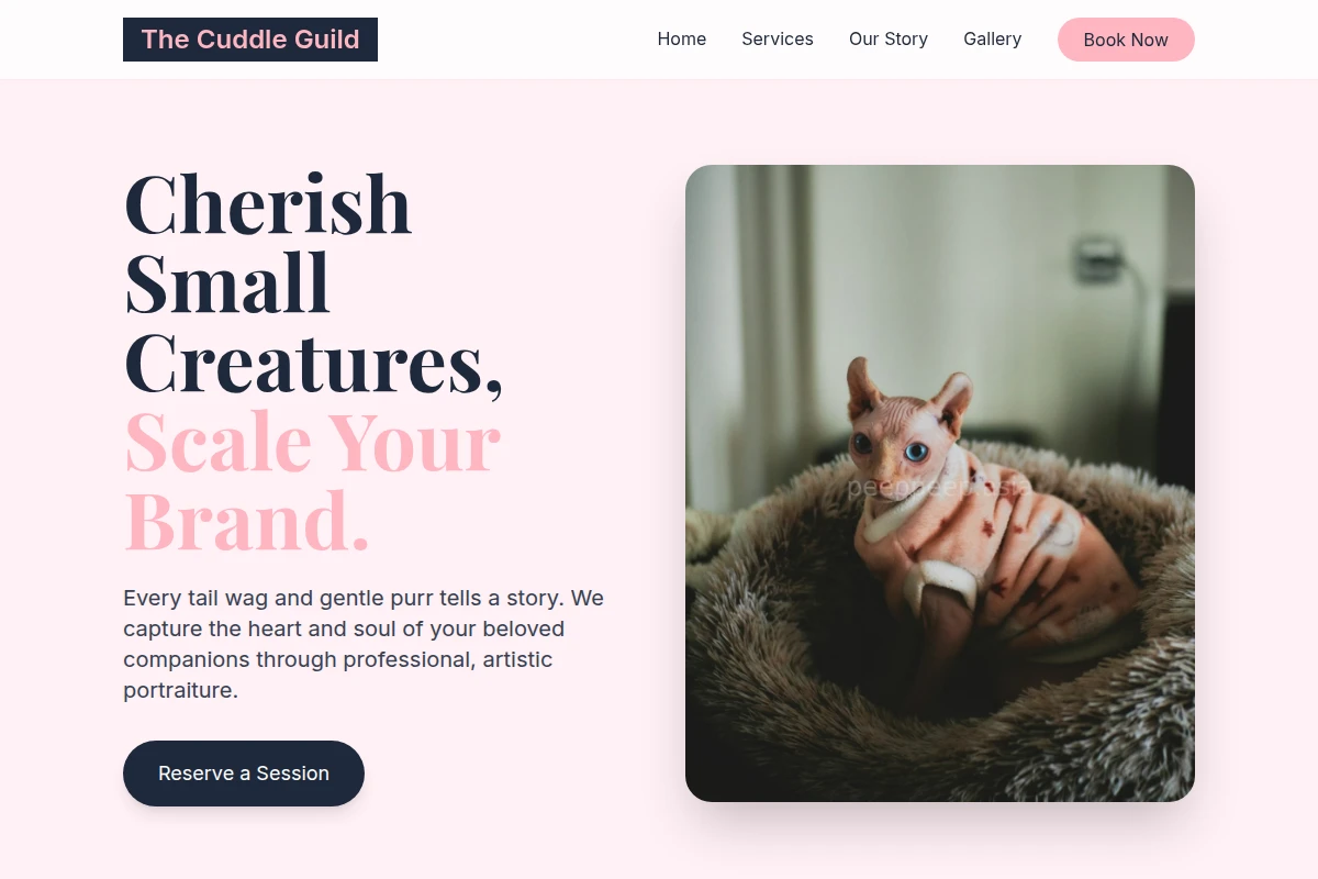 Brush Pet Photography