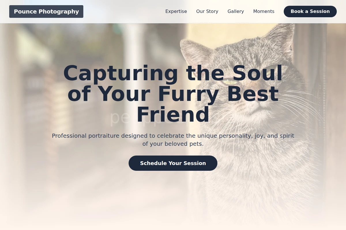 Pounce Pet Photography