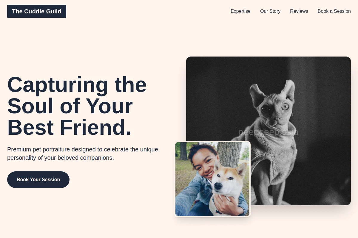 Collar Pet Photography