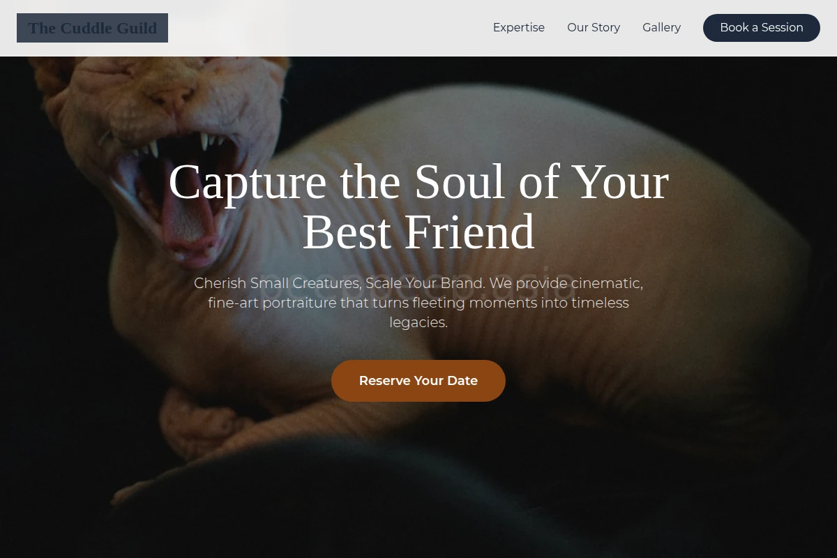 Boutique Pet Photography