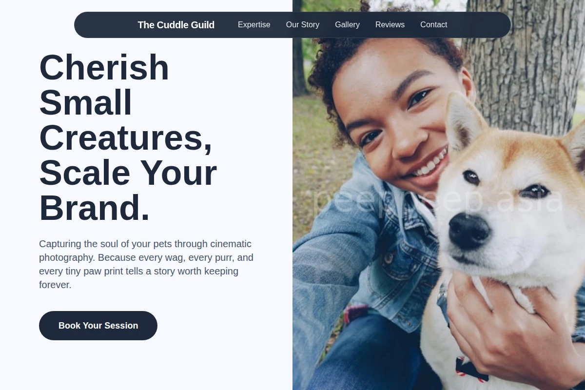 Brush Pet Photography