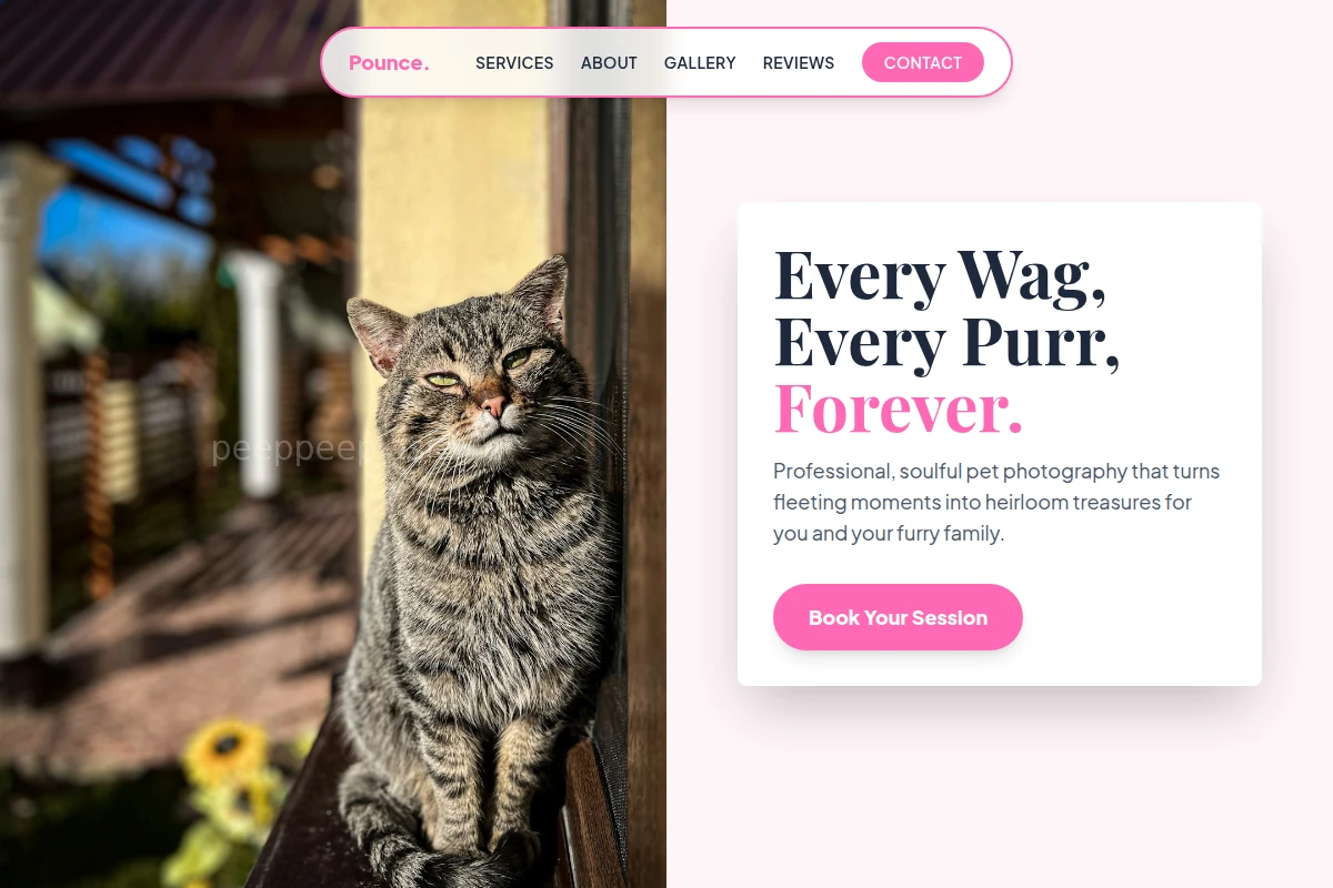 Pounce Pet Photography