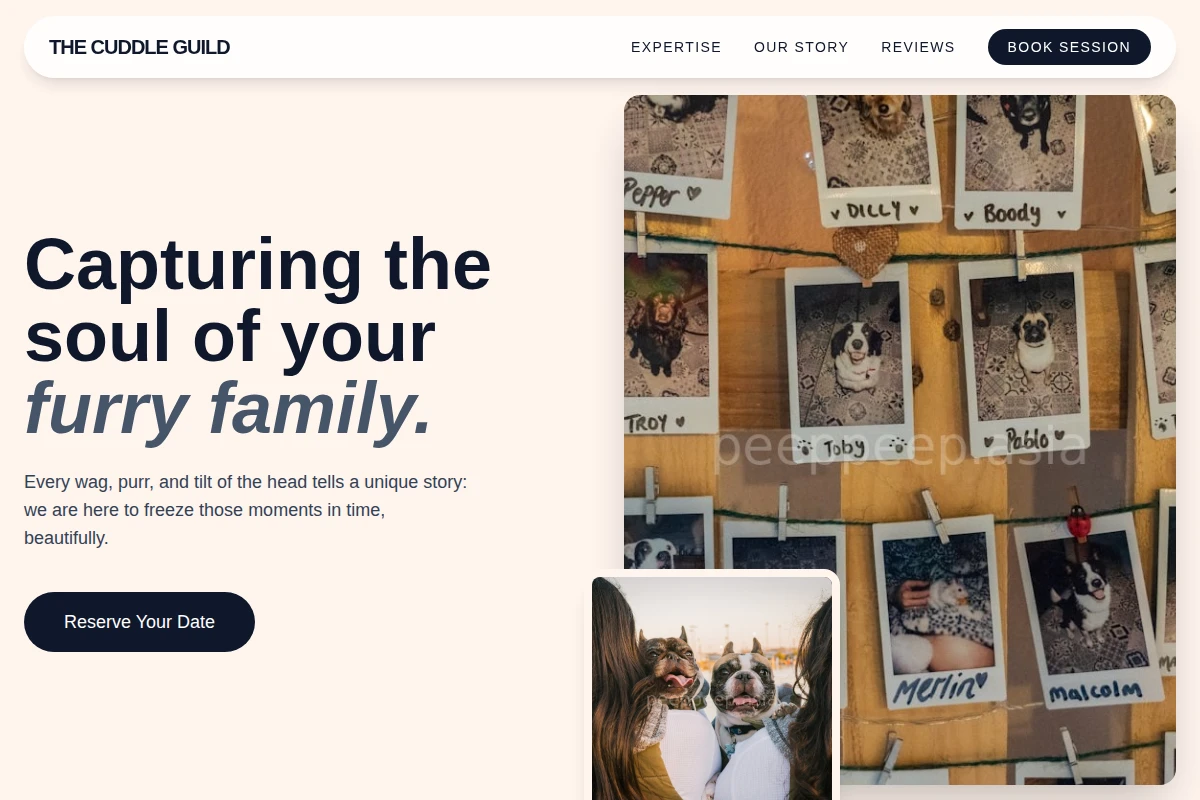 Meow Pet Photography