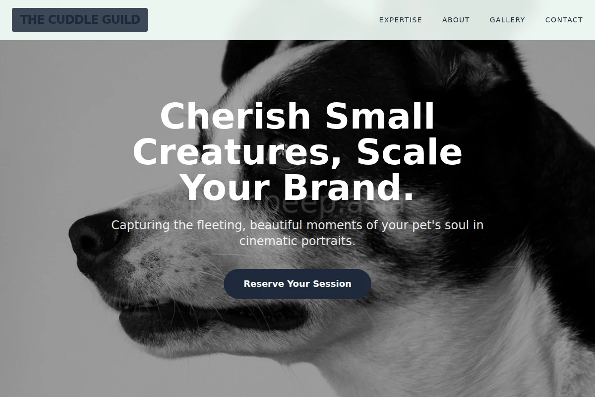 Fluffy Pet Photography