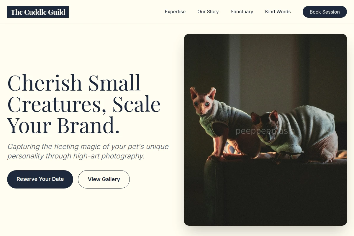 Playtime Pet Photography