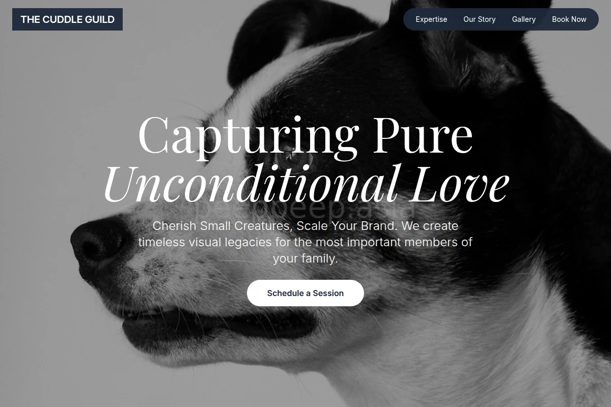 Whiskers Pet Photography