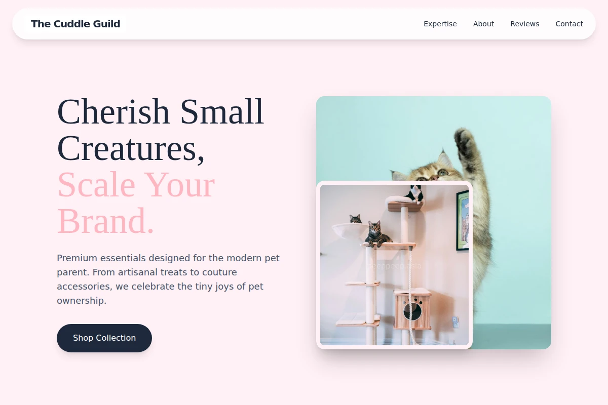 Collar Pet Shop