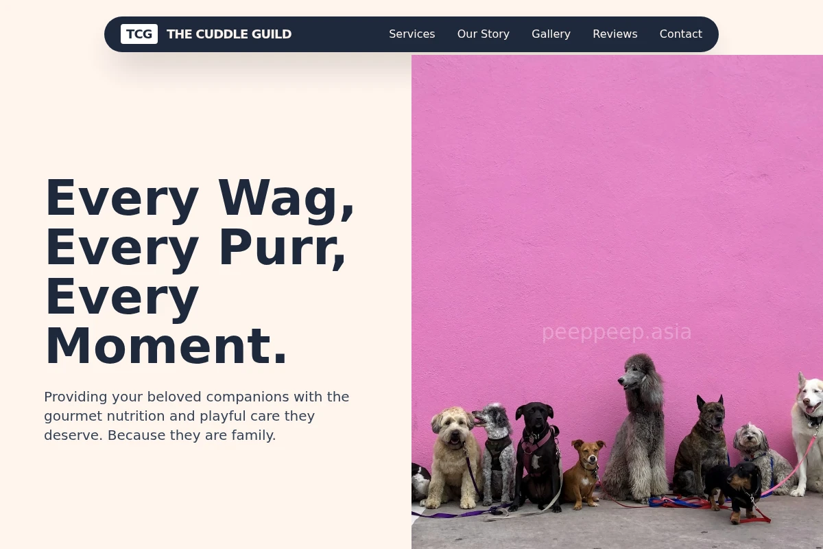 Pounce Pet Shop