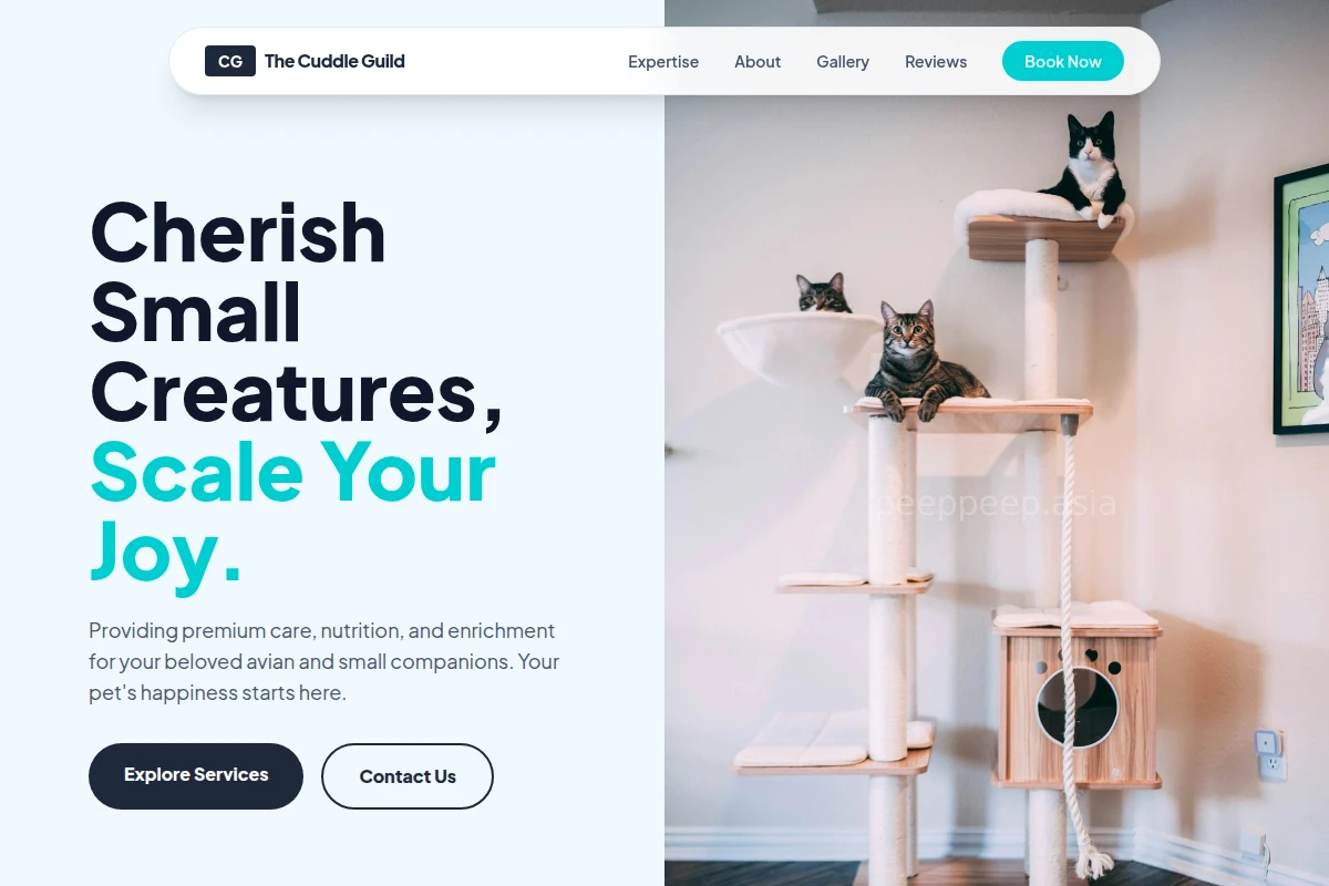 Birdie Pet Shop