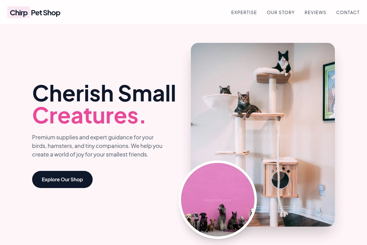 Chirp Pet Shop