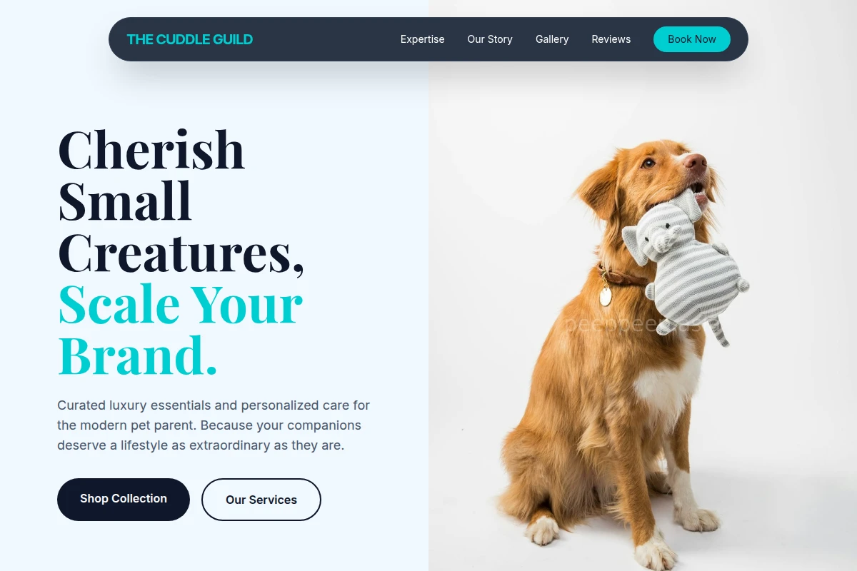 Boutique Pet Shop
