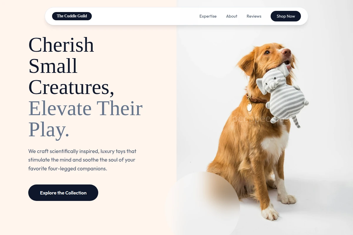 Cozy Pet Toys