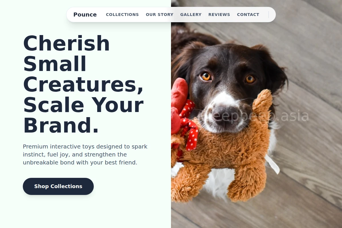 Pounce Pet Toys