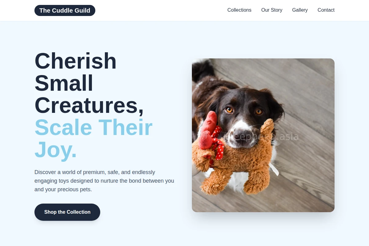 Snout Pet Toys