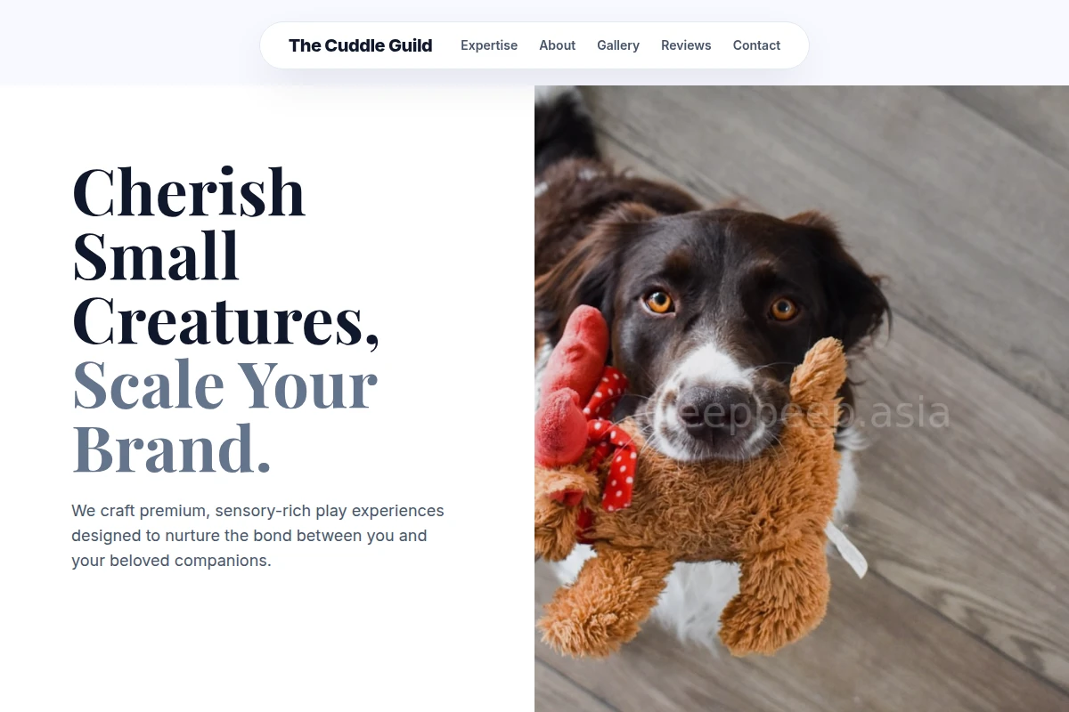 Brush Pet Toys