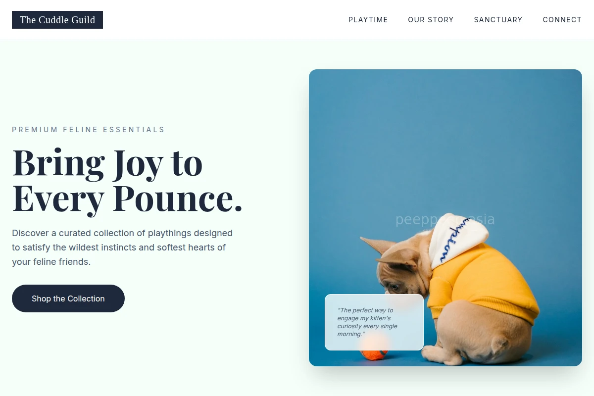 Meow Pet Toys