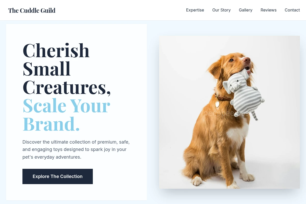 Treat Pet Toys