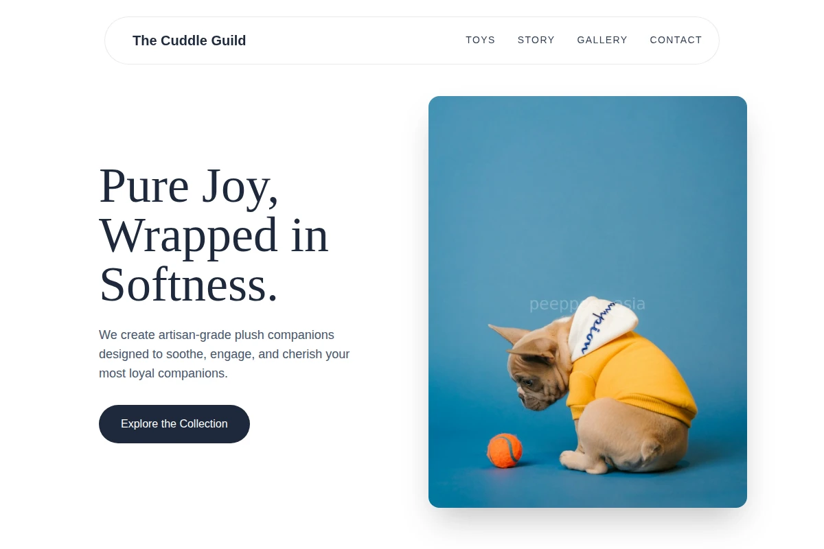 Fluffy Pet Toys