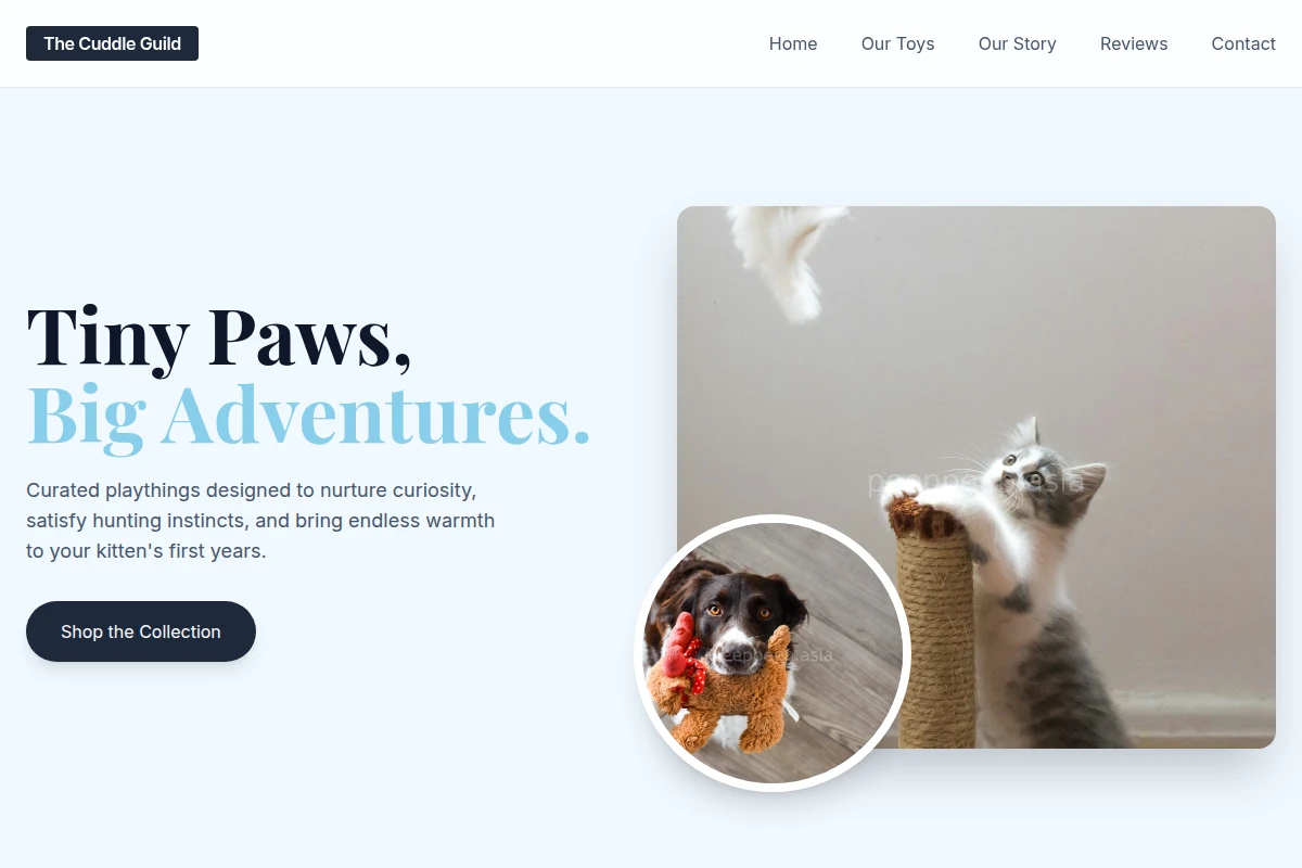 Kitten Pet Toys