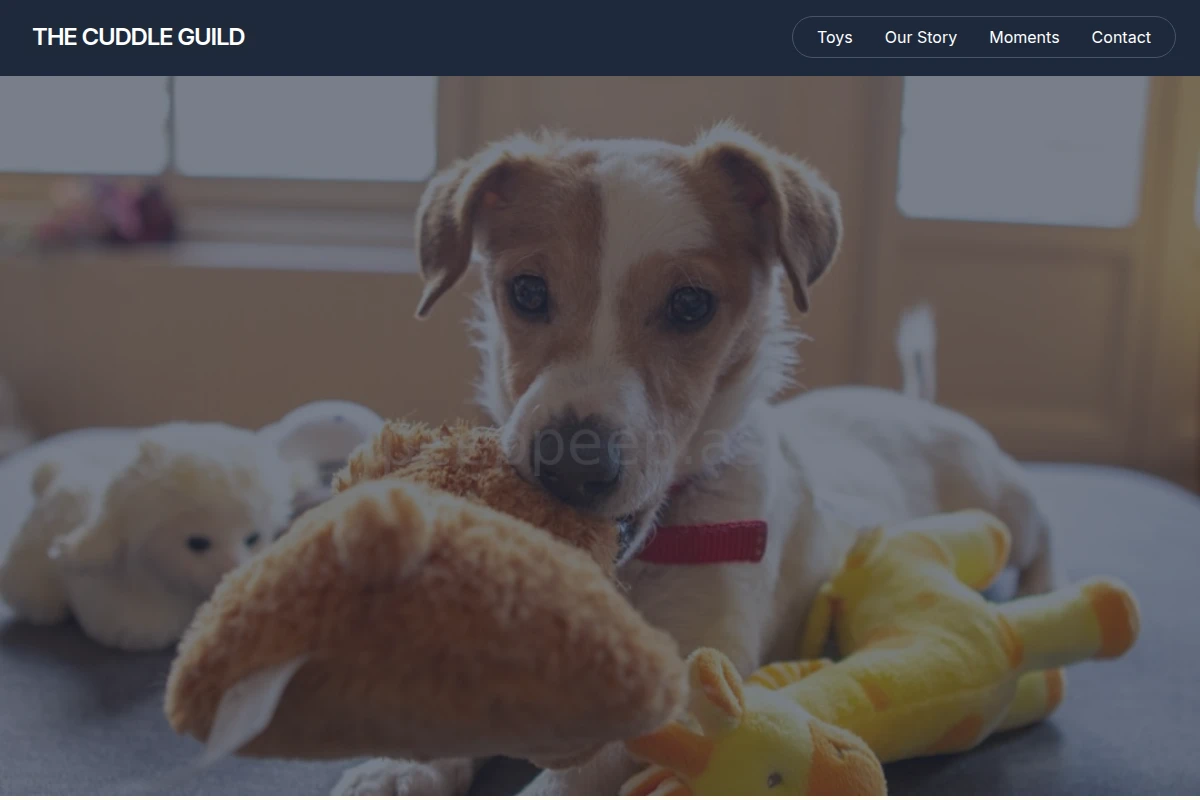Nest Pet Toys