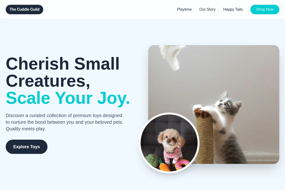 Treat Pet Toys