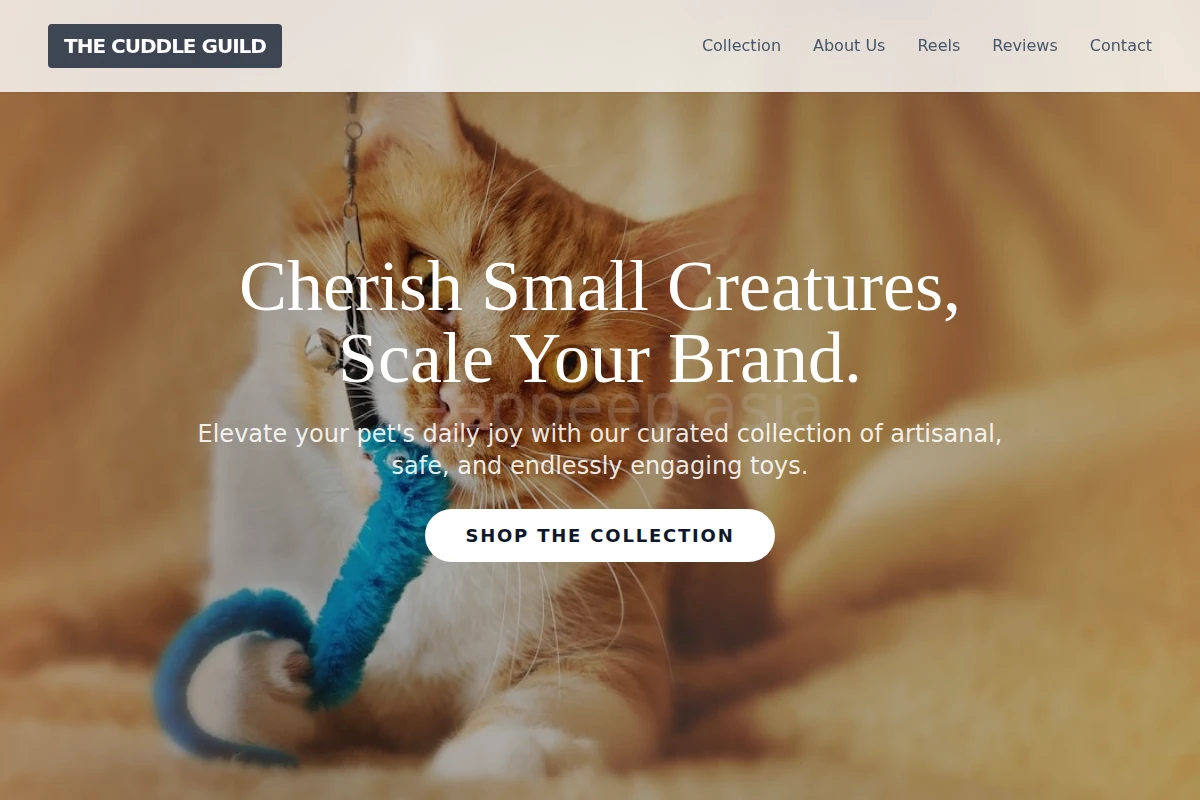 Chirp Pet Toys