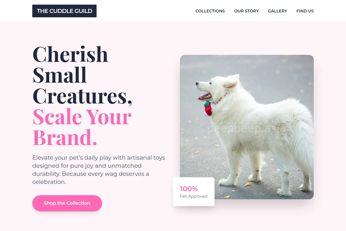 Treat Pet Toys